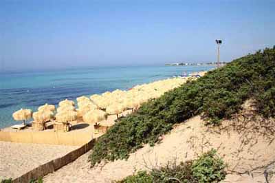 Hotel Punta Grossa - Spiaggia