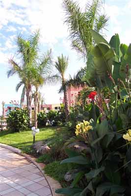 Residence Punta Grossa a Porto Cesareo - Giardino
